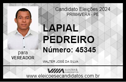 Candidato LAPIAL PEDREIRO 2024 - PRIMAVERA - Eleições