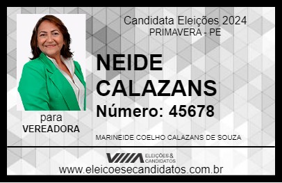 Candidato NEIDE CALAZANS 2024 - PRIMAVERA - Eleições