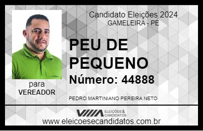 Candidato PEU DE PEQUENO 2024 - GAMELEIRA - Eleições