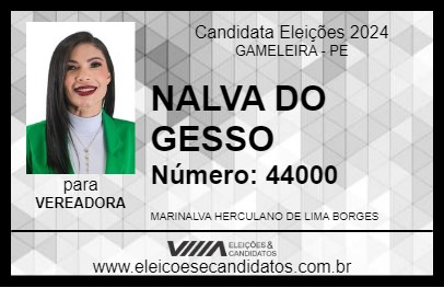 Candidato NALVA DO GESSO 2024 - GAMELEIRA - Eleições