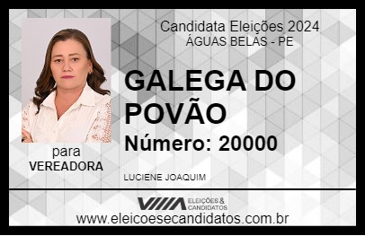 Candidato GALEGA DO POVÃO 2024 - ÁGUAS BELAS - Eleições