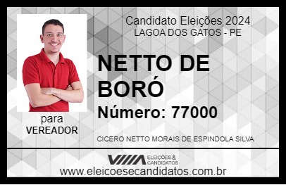 Candidato NETTO DE BORÓ 2024 - LAGOA DOS GATOS - Eleições