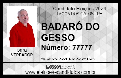 Candidato BADARÓ DO GESSO 2024 - LAGOA DOS GATOS - Eleições