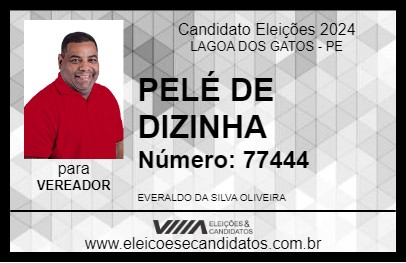 Candidato PELÉ DE DIZINHA 2024 - LAGOA DOS GATOS - Eleições