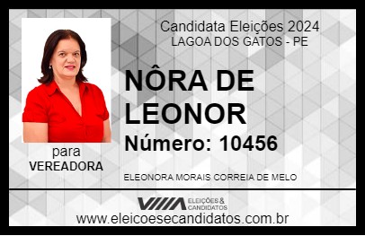 Candidato NÔRA DE LEONOR 2024 - LAGOA DOS GATOS - Eleições