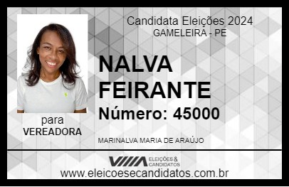 Candidato NALVA FEIRANTE 2024 - GAMELEIRA - Eleições