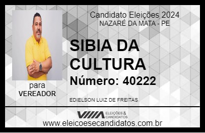 Candidato SIBIA DA CULTURA 2024 - NAZARÉ DA MATA - Eleições