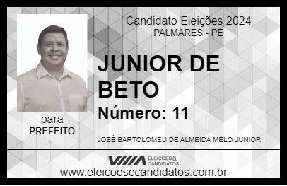 Candidato JUNIOR DE BETO 2024 - PALMARES - Eleições