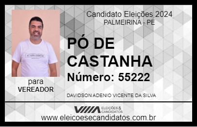 Candidato PÓ DE CASTANHA 2024 - PALMEIRINA - Eleições