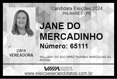 Candidato JANE DO MERCADINHO 2024 - PALMARES - Eleições