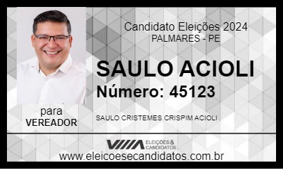 Candidato SAULO ACIOLI 2024 - PALMARES - Eleições