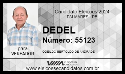 Candidato DEDEL 2024 - PALMARES - Eleições