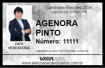 Candidato AGENORA PINTO 2024 - LAGOA DO OURO - Eleições