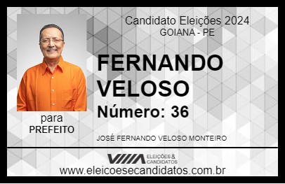 Candidato FERNANDO VELOSO 2024 - GOIANA - Eleições