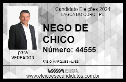 Candidato NEGO DE CHICO 2024 - LAGOA DO OURO - Eleições