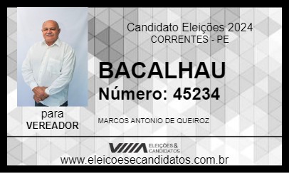 Candidato BACALHAU 2024 - CORRENTES - Eleições