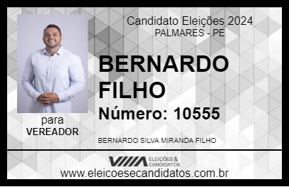 Candidato BERNARDO FILHO 2024 - PALMARES - Eleições