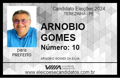 Candidato ARNOBIO GOMES 2024 - TEREZINHA - Eleições