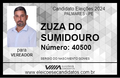 Candidato ZUZA DO SUMIDOURO 2024 - PALMARES - Eleições