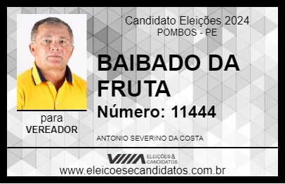 Candidato BAIBADO DA FRUTA 2024 - POMBOS - Eleições