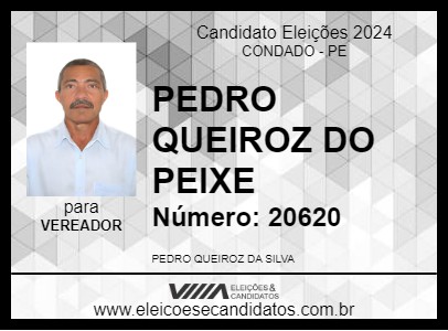 Candidato PEDRO QUEIROZ DO PEIXE 2024 - CONDADO - Eleições