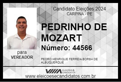 Candidato PEDRINHO DE MOZART 2024 - CARPINA - Eleições