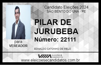 Candidato PILAR DE JURUBEBA 2024 - SÃO BENTO DO UNA - Eleições