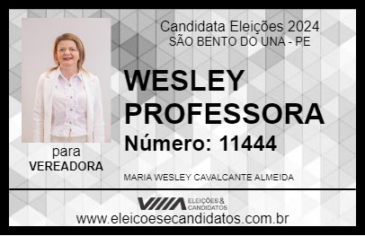 Candidato WESLEY PROFESSORA 2024 - SÃO BENTO DO UNA - Eleições