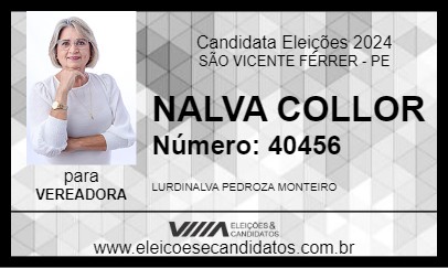 Candidato NALVA COLÔR 2024 - SÃO VICENTE FÉRRER - Eleições