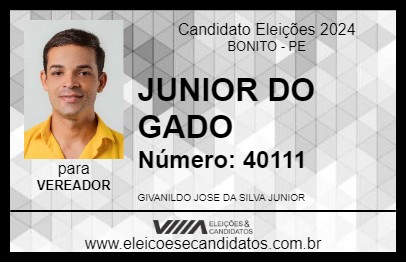 Candidato JUNIOR DO GADO 2024 - BONITO - Eleições