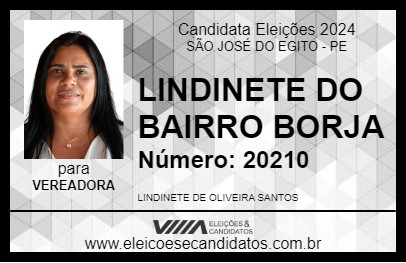 Candidato LINDINETE DO BAIRRO BORJA 2024 - SÃO JOSÉ DO EGITO - Eleições