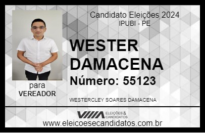 Candidato WESTER DAMACENA 2024 - IPUBI - Eleições