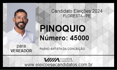 Candidato PINOQUIO 2024 - FLORESTA - Eleições