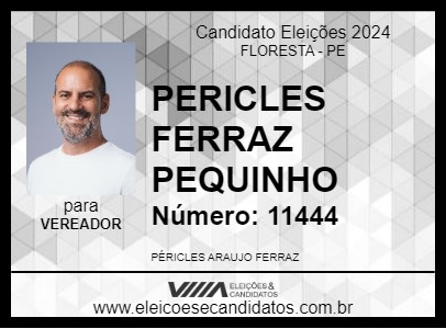 Candidato PERICLES FERRAZ PEQUINHO 2024 - FLORESTA - Eleições