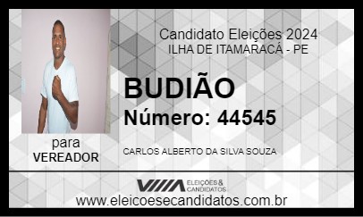 Candidato BUDIÃO 2024 - ILHA DE ITAMARACÁ - Eleições