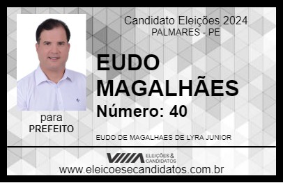 Candidato EUDO MAGALHÃES 2024 - PALMARES - Eleições