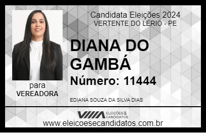 Candidato DIANA DO GAMBÁ 2024 - VERTENTE DO LÉRIO - Eleições