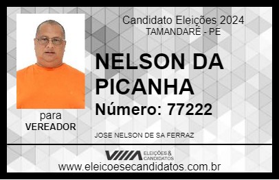 Candidato NELSON  DA PICANHA 2024 - TAMANDARÉ - Eleições