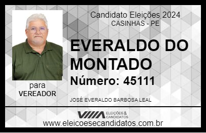 Candidato EVERALDO DO MONTADO 2024 - CASINHAS - Eleições