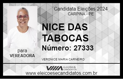 Candidato NICE DAS TABOCAS 2024 - CARPINA - Eleições