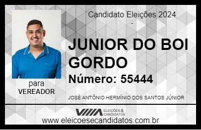 Candidato JUNIOR DO BOI GORDO 2024 - BEZERROS - Eleições