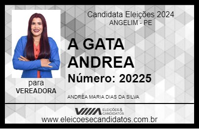 Candidato A GATA ANDREA 2024 - ANGELIM - Eleições