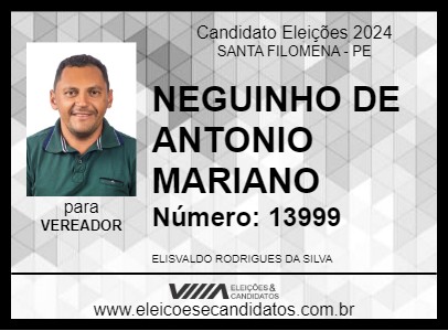 Candidato NEGUINHO DE ANTONIO MARIANO 2024 - SANTA FILOMENA - Eleições