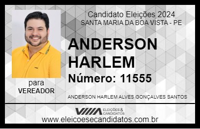 Candidato ANDERSON HARLEM 2024 - SANTA MARIA DA BOA VISTA - Eleições