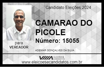 Candidato CAMARAO DO PICOLE 2024 - SIRINHAÉM - Eleições