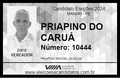 Candidato PRIAPINO DO CARUÁ 2024 - MANARI - Eleições