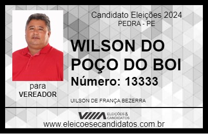 Candidato WILSON DO POÇO DO BOI 2024 - PEDRA - Eleições