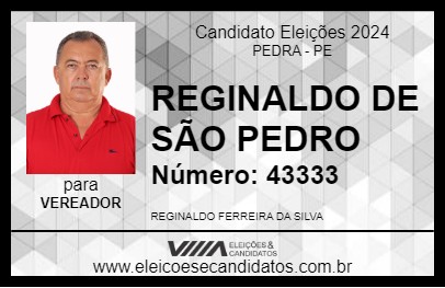 Candidato REGINALDO DE SÃO PEDRO 2024 - PEDRA - Eleições