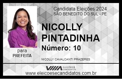 Candidato NICOLLY PINTADINHA 2024 - SÃO BENEDITO DO SUL - Eleições