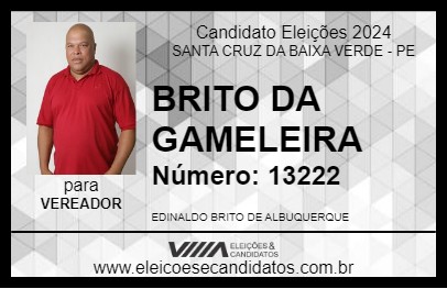 Candidato BRITO DA GAMELEIRA 2024 - SANTA CRUZ DA BAIXA VERDE - Eleições